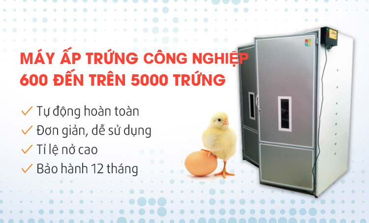 Công ty Cổ Phần Công Nghệ MacTech Việt Nam
