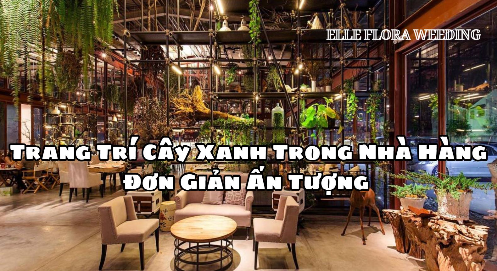 [Gợi Ý] Cách Trang Trí Cây Xanh Trong Nhà Hàng Đơn Giản Mà Ấn Tượng