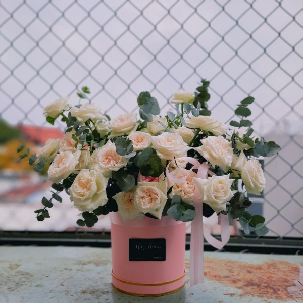 Hoa chúc mừng khai giảng năm học mới đầy nhiệt huyết