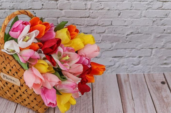 Giỏ hoa tulip nhiều màu xinh lung linh chứa đựng nhiều ý nghĩa