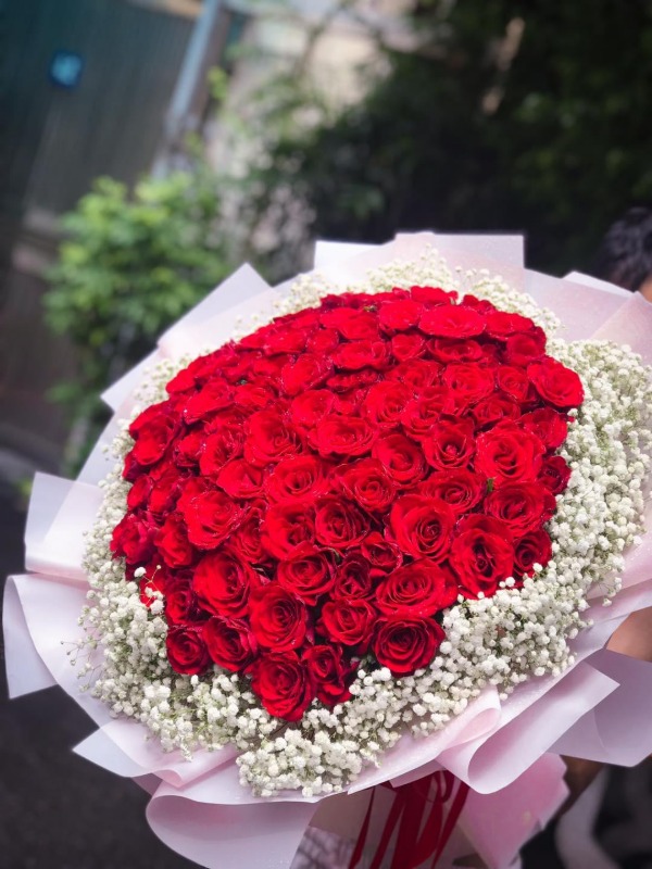 Đóa hồng đỏ rực là tình yêu anh trao đến em