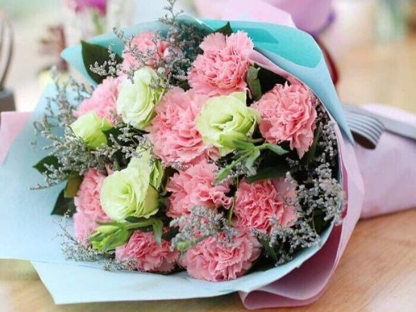Hoa cẩm chướng hồng mix hoa hồng xanh thể hiện tình yêu chung thủy