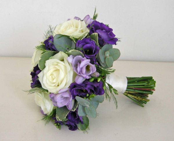 Hoa hồng mix Violet vừa mãnh liệt vừa thanh lịch