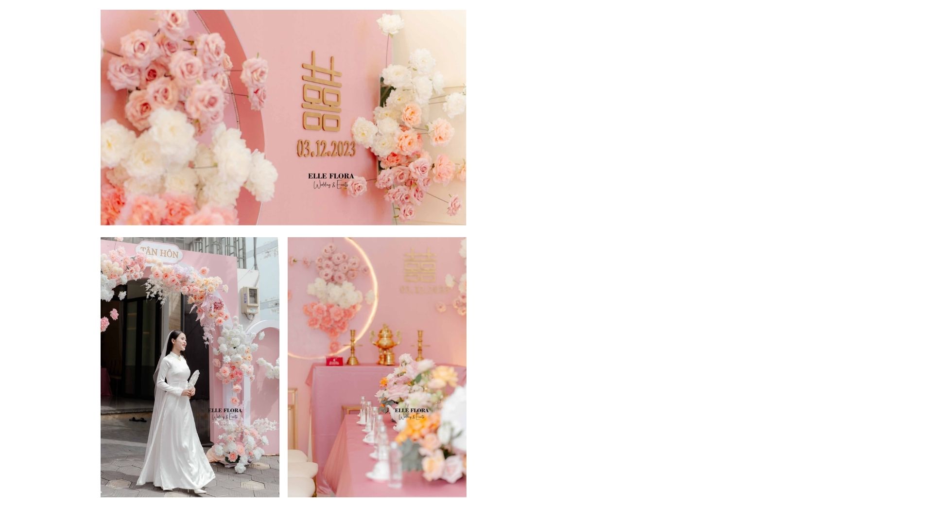 Gia tiên cao cấp Hồng Neon 