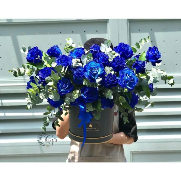 Hoa hồng xanh lá và hoa hồng xanh dương đều độc đáo và sẽ mới lạ khi được sử dụng làm quà tặng.Hoa hồng xanh lá và hoa hồng xanh dương đều độc đáo và sẽ mới lạ khi được sử dụng làm quà tặng.