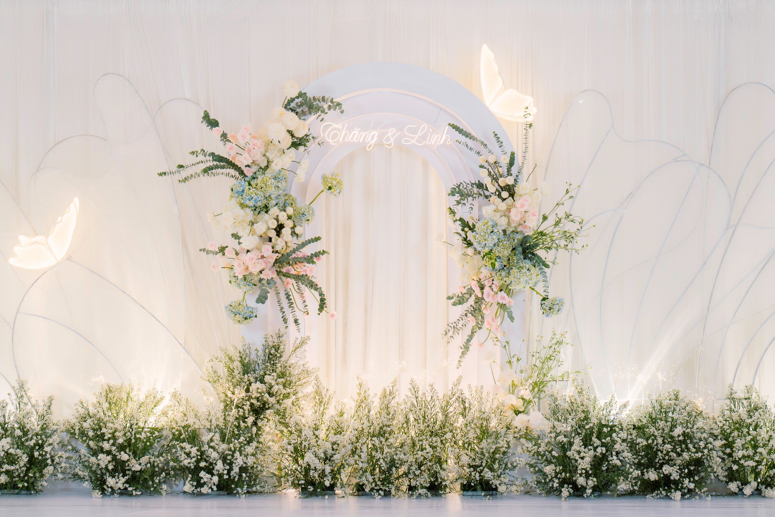 BACKDROP CHỤP HÌNH - MẪU CÁNH BƯỚM