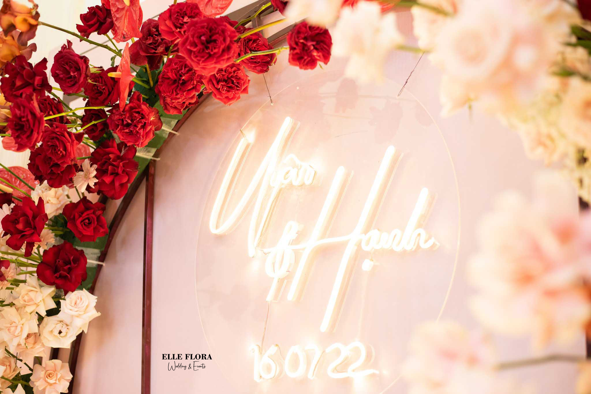 GTHT - Hồng Pastel Neon