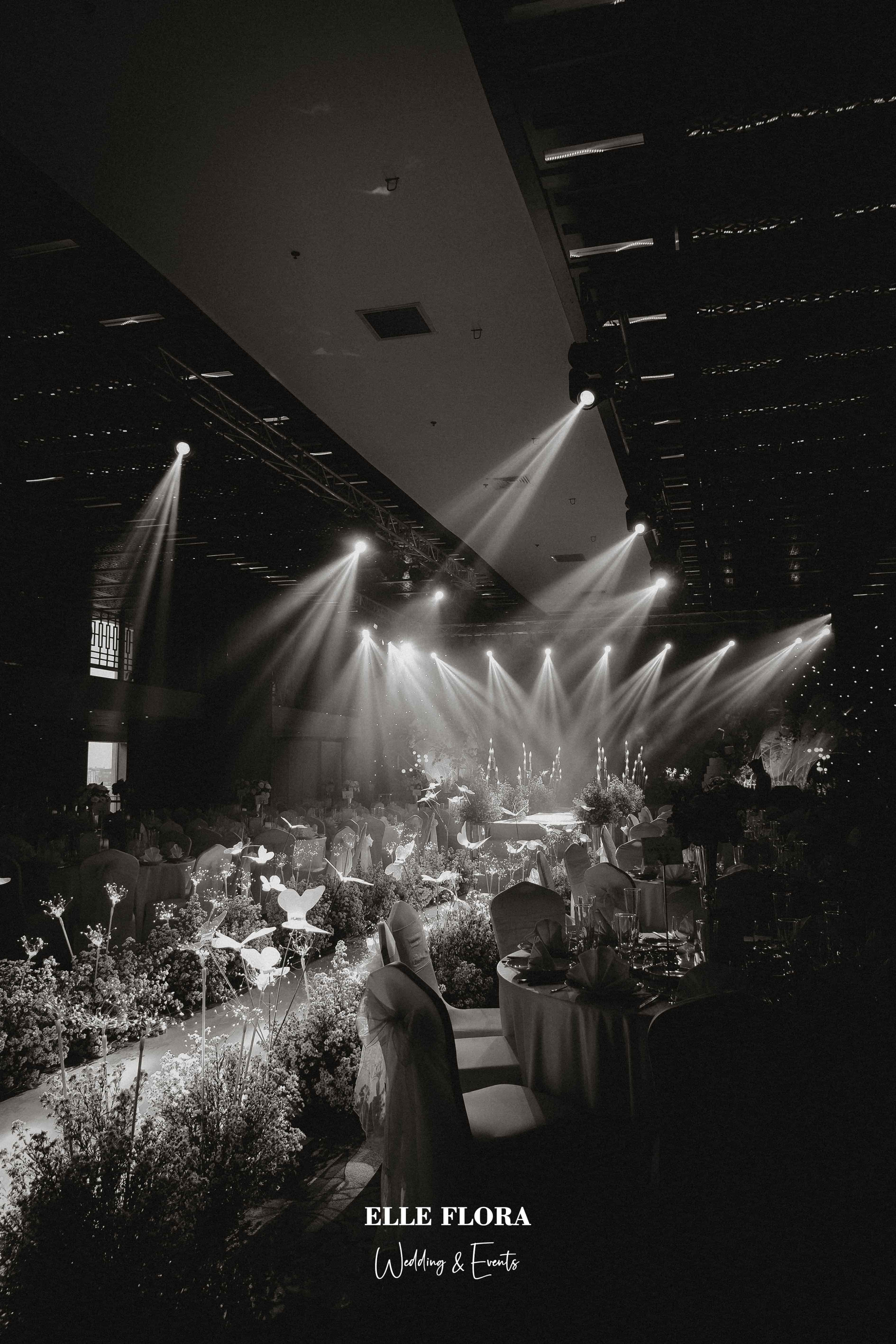 lối đi sân khấu bằng hoa thạch thảo