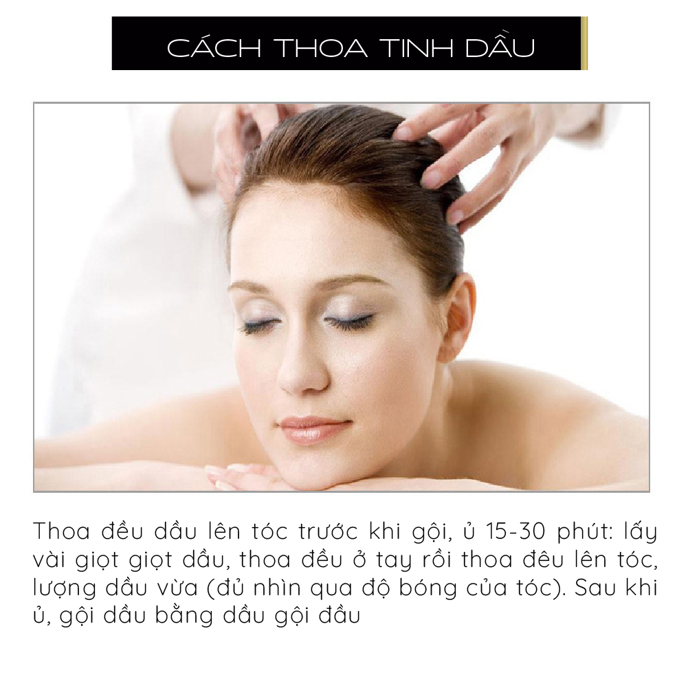 Cách sử dụng dầu bơ cho tóc