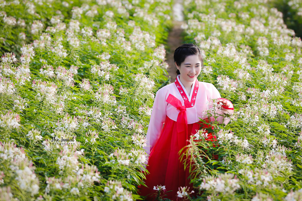 hanbok nữ 08