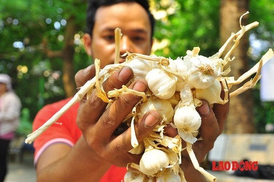 Lợi ích Ăn tỏi sống buổi sáng