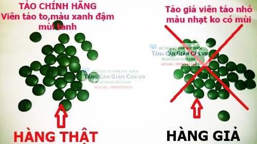 TẢO XOẮN NHẬT BẢN