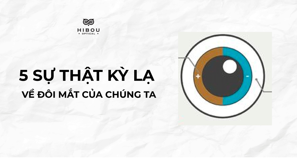 [Infographics] 5 sự thật kỳ lạ về đôi mắt của chúng ta