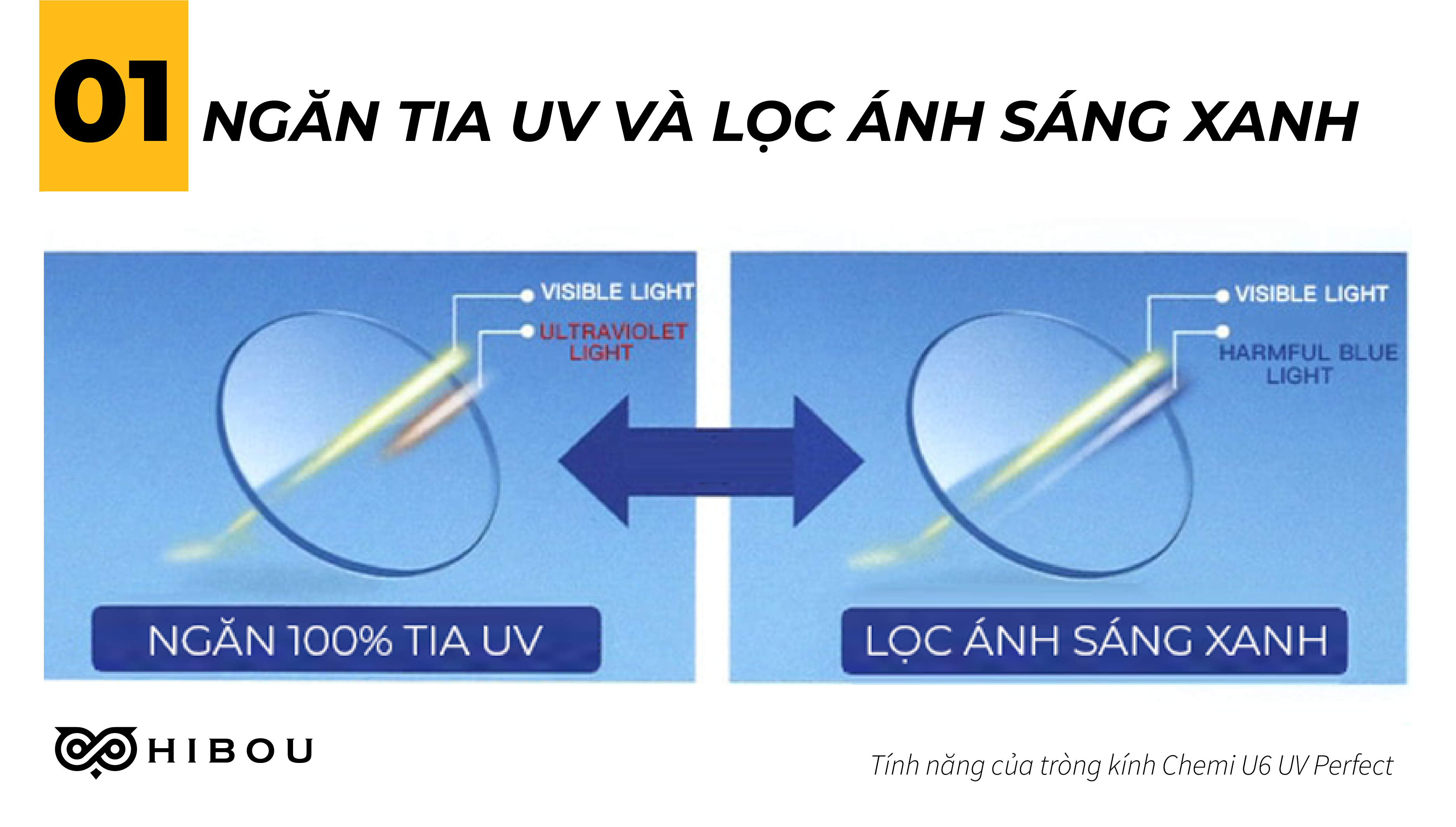 Tổng Quan Về Tia UV và Ánh Sáng Xanh