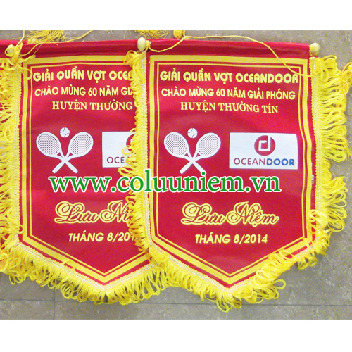 Cờ giải