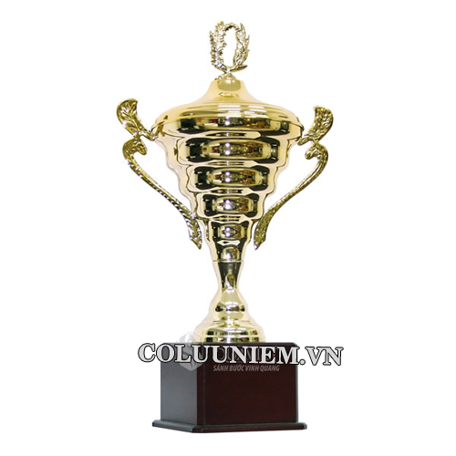 Cúp thể thao 9V0121