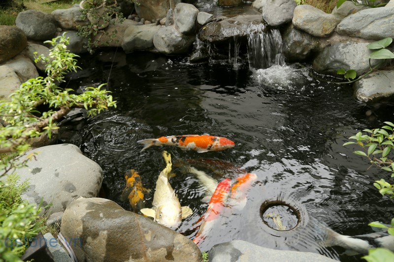 bi-quyet-thiet-ke-san-vuon-dep