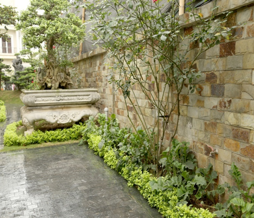 hinh-anh-cac-cong-trinh-ha-thanh-tscc-co-ltd-p2