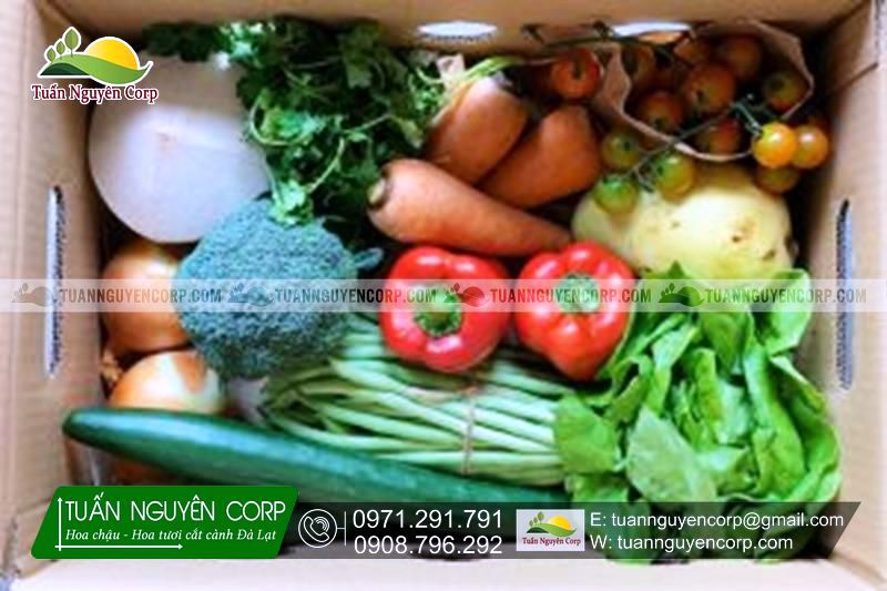Combo Rau Củ Quả Sạch Đà Lạt Giá Rẻ