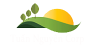 Tuấn Nguyên Corp