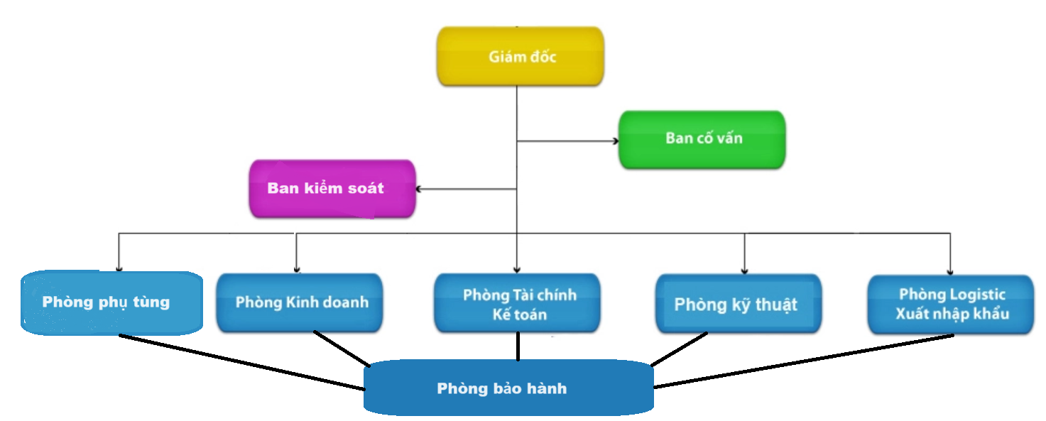 co-cau-to-chuc-cong-ty-xe-nang-binh-minh-2024