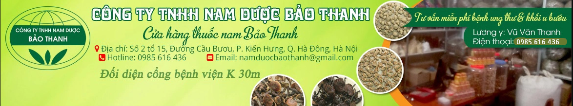 CÔNG TY TNHH NAM DƯỢC BẢO THANH