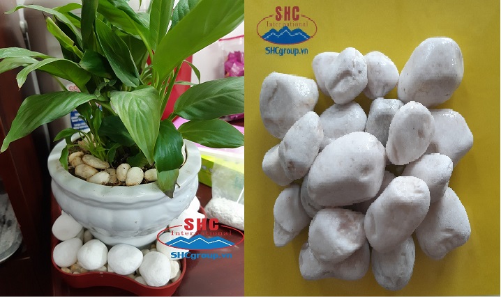 Sỏi trang trí chậu cây cảnh và thiết kế sân vườn.