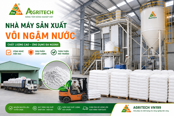 Nhà máy Agritech VN199 – Chuyên sản xuất Vôi ngậm nước (Ca(OH)₂) chất lượng cao