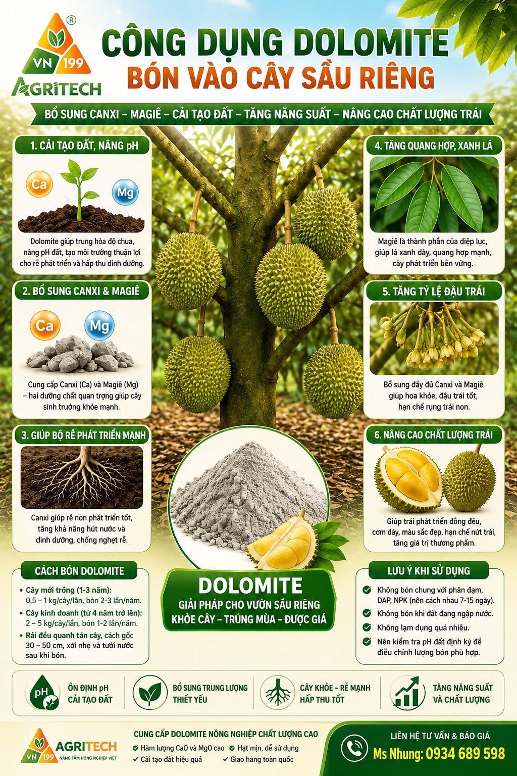 Cách bón Dolomite cho cây sầu riêng đúng kỹ thuật giúp cây khỏe, trái to, năng suất cao
