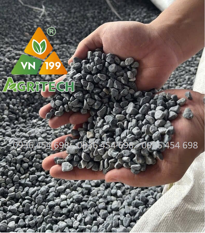 SỎI ĐÁ TRANG TRÍ - VẺ ĐẸP TỰ NHIÊN