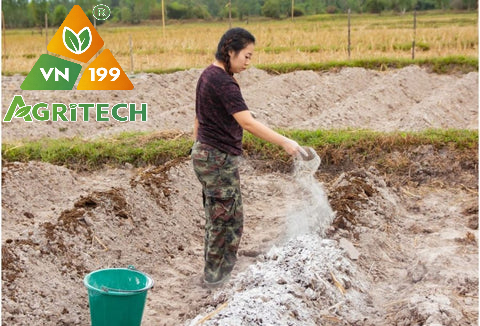 Lợi ích của việc bón vôi nông nghiệp cho đất