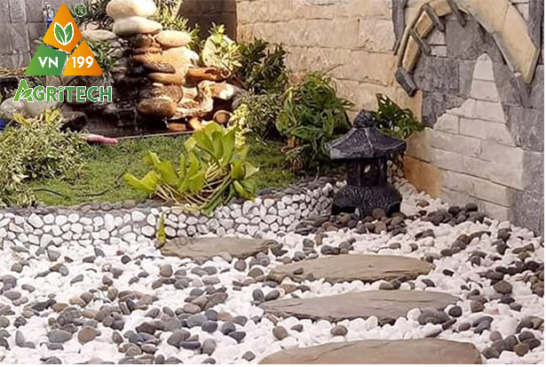 SỎI TRANG TRÍ - BÍ QUYẾT MANG THIÊN NHIÊN TINH TẾ VÀO KHÔNG GIAN SỐNG CỦA BẠN