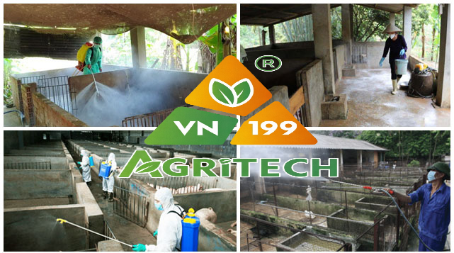 Tại sao phải bón vôi sát trùng chuồng trại?