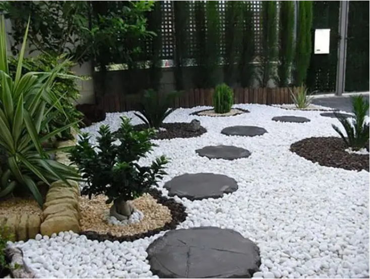 BIẾN TẤU KHÔNG GIAN VỚI SỎI TRẮNG MUỐI