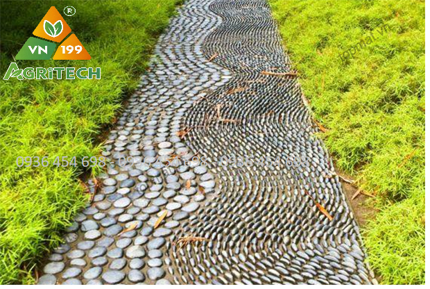 SỎI TRANG TRÍ SÂN VƯỜN NHÀ PHỐ - ĐẸP & BỀN, TIẾT KIỆM CHI PHÍ