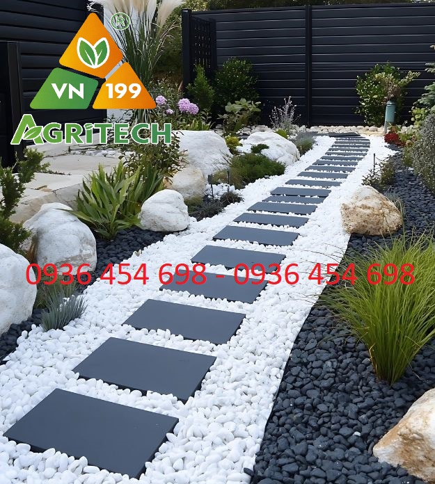 SỎI TRANG TRÍ QUÁN CÀ PHÊ, HOMESTAY – TẠO KHÔNG GIAN ĐẸP, THU HÚT KHÁCH