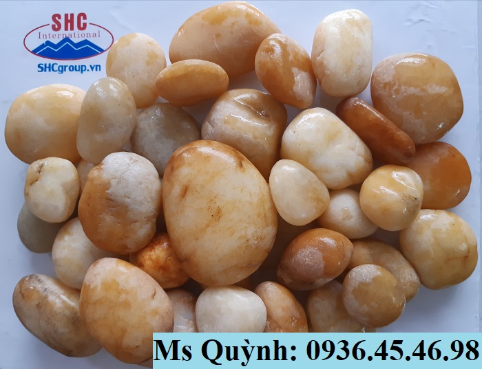 ỨNG DỤNG CỦA SỎI TRONG THIẾT KẾ ĐẠT HIỆU QUẢ CAO
