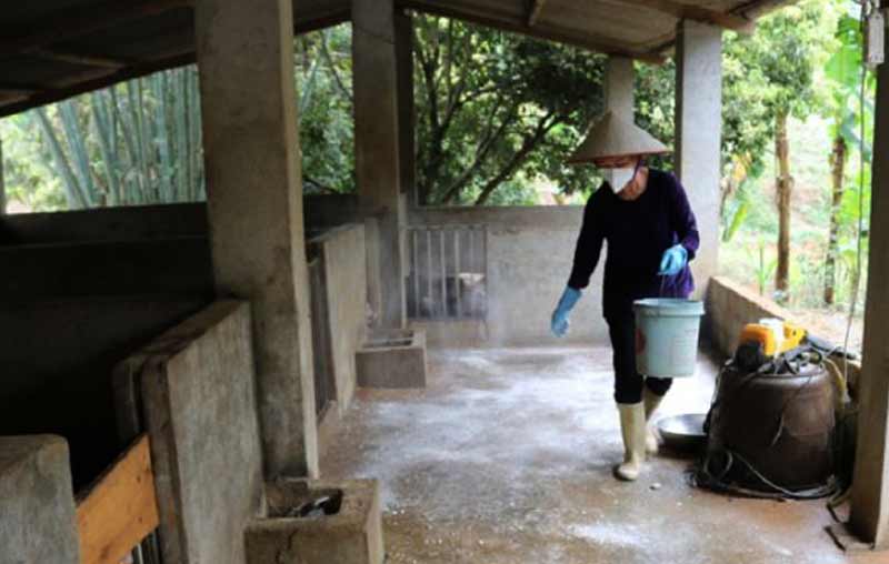 5 TÁC DỤNG CỦA VÔI BỘT NÔNG NGHIỆP