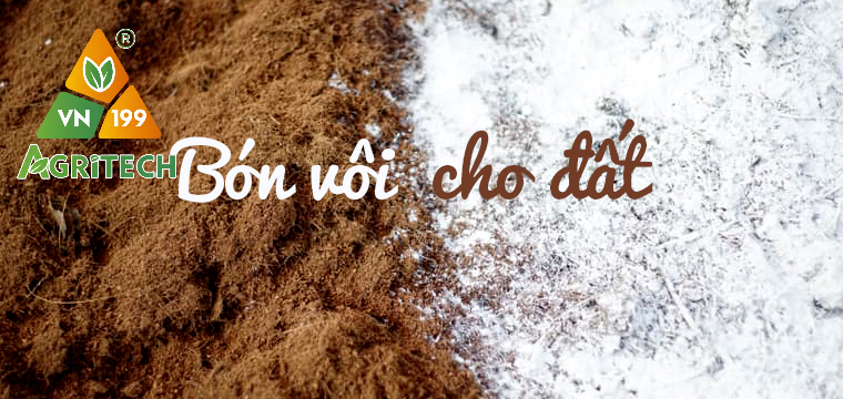 TÁC DỤNG CỦA VÔI TRONG QUÁ TRÌNH CẢI TẠO ĐẤT