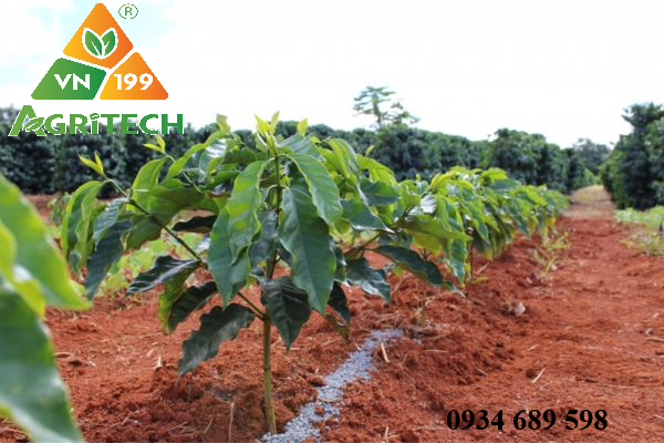 VÔI BỘT NÔNG NGHIỆP LÀ GÌ ?