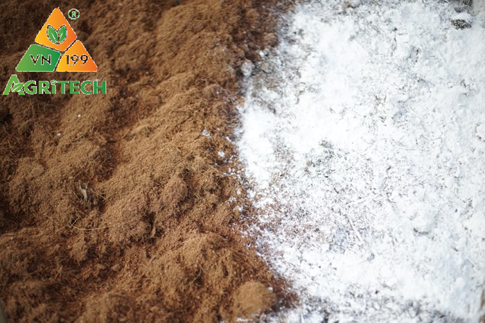 Tại sao phải bón vôi? Bón Vôi Nông nghiệp có tác dụng gì ?