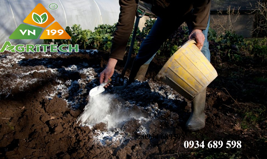 Vôi bột-Tác dụng của vôi nông nghiệp với đất và cây