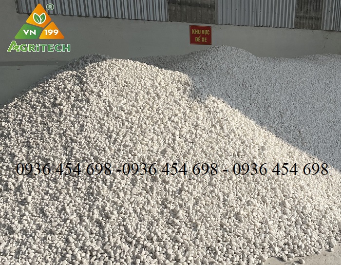SỎI TRANG TRÍ ( GIÁ TỐT NHẤT TOÀN QUỐC )