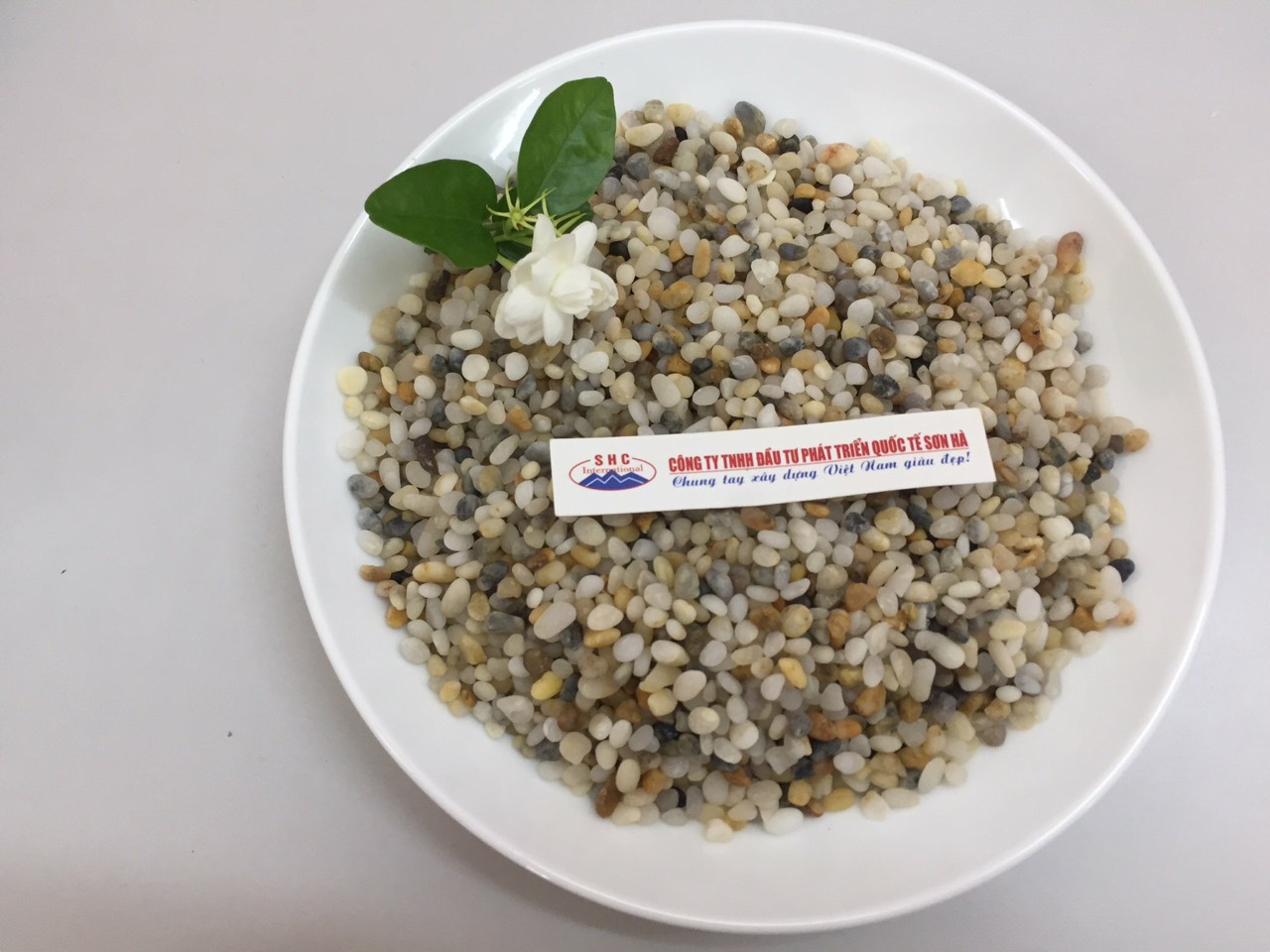 SỎI BA MÀU: BẢN GIAO HƯỞNG CỦA THIÊN NHIÊN