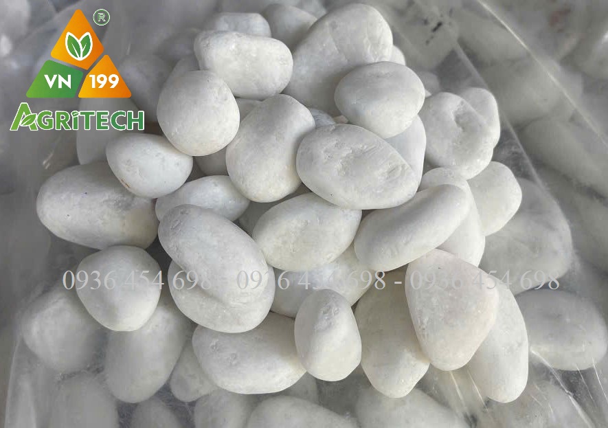 NHÀ SẢN XUẤT VÀ CUNG ỨNG SỎI TRẮNG NHÂN TẠO ( SỎI QUAY ) GIÁ TỐT NHẤT CẢ NƯỚC