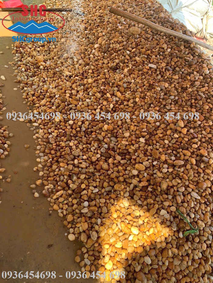 KHÁM PHÁ THẾ GIỚI SỎI TRANG TRÍ CÓ GÌ ???