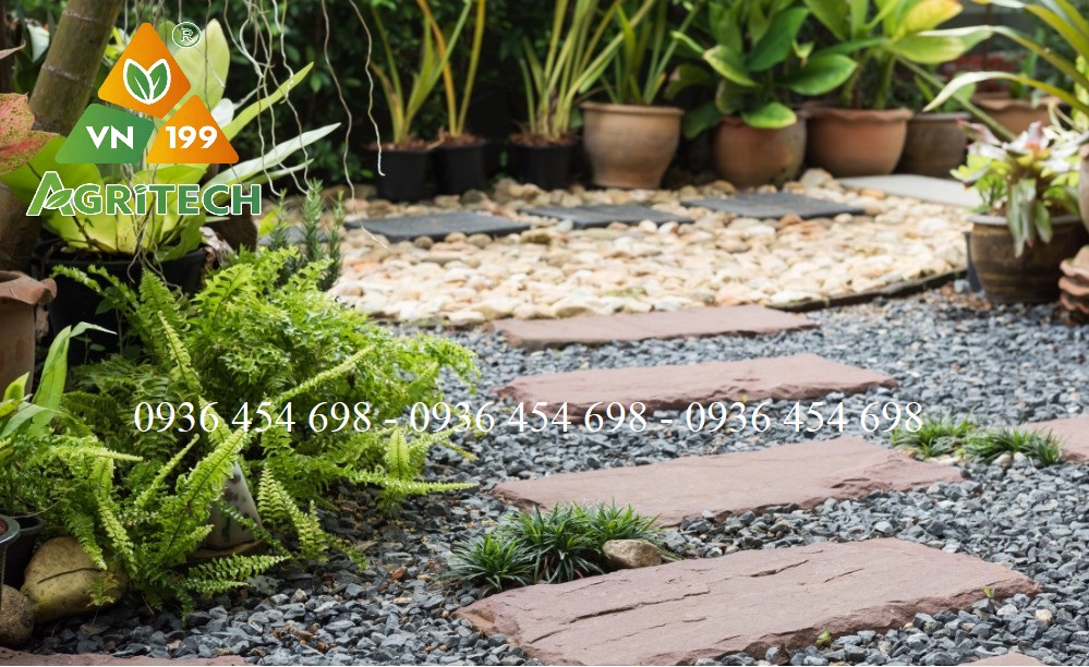 ĐÁ LÁT CAO CẤP: GIẢI PHÁP HOÀN HẢO CHO MỌI CÔNG TRÌNH