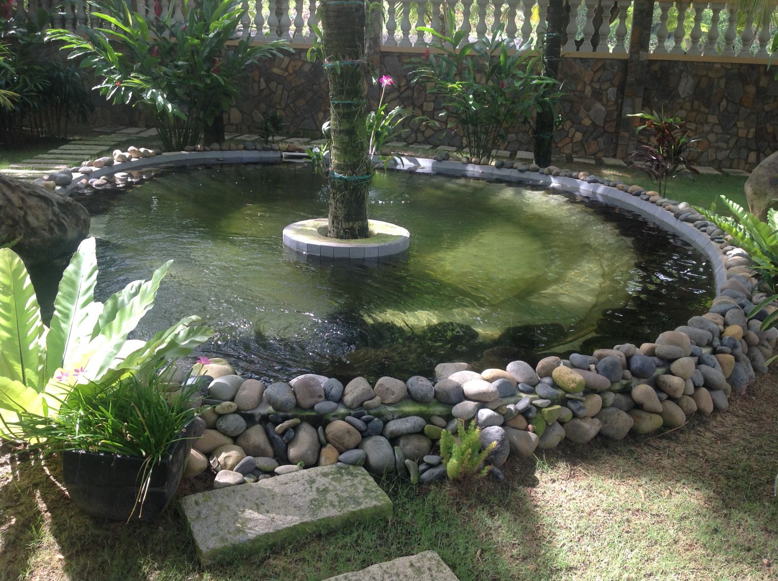 đá sỏi trang trí ao hồ tiểu cảnh