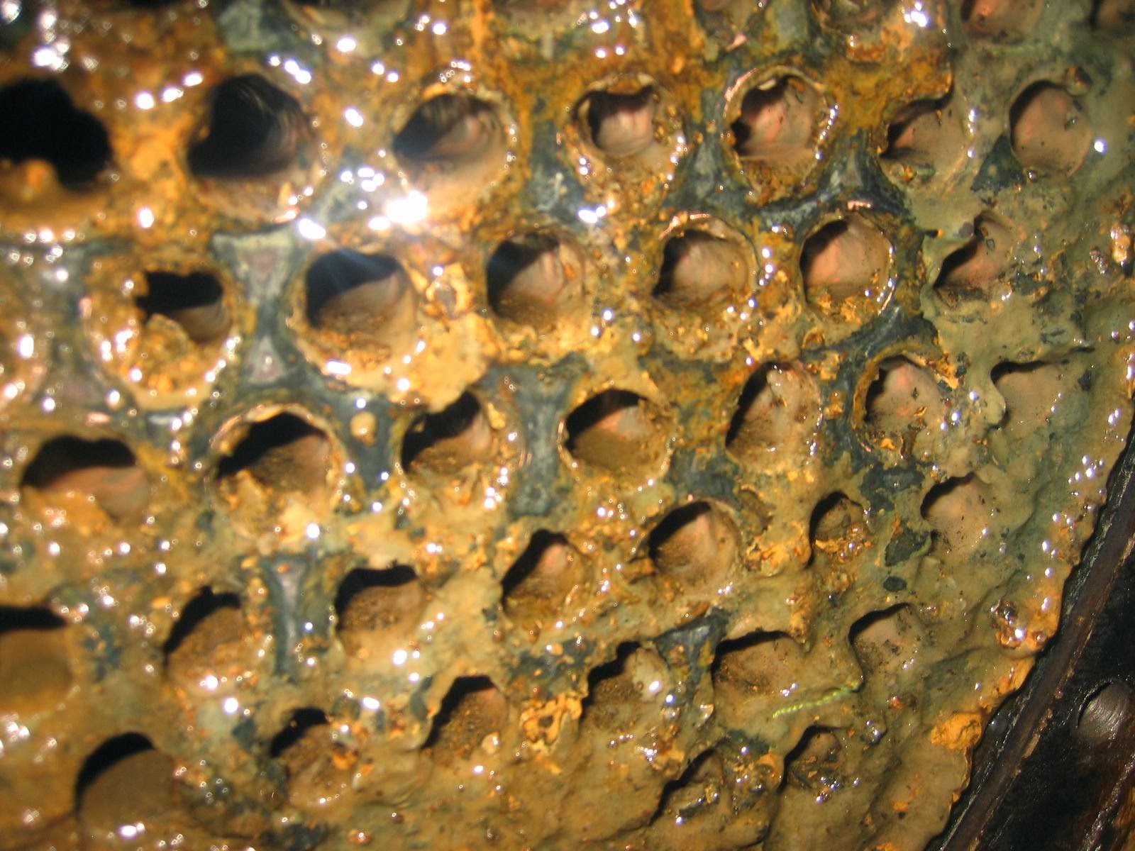 Dịch vụ tẩy cặn lò hơi Dịch vụ tẩy cặn lò hơi