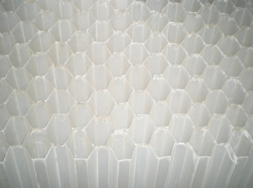 Đệm vi sinh Đệm vi sinh